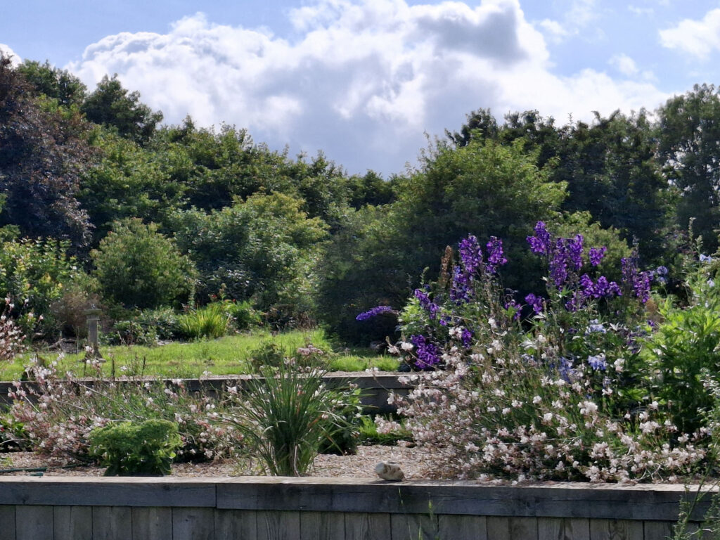 Hill Farmhouse Garden